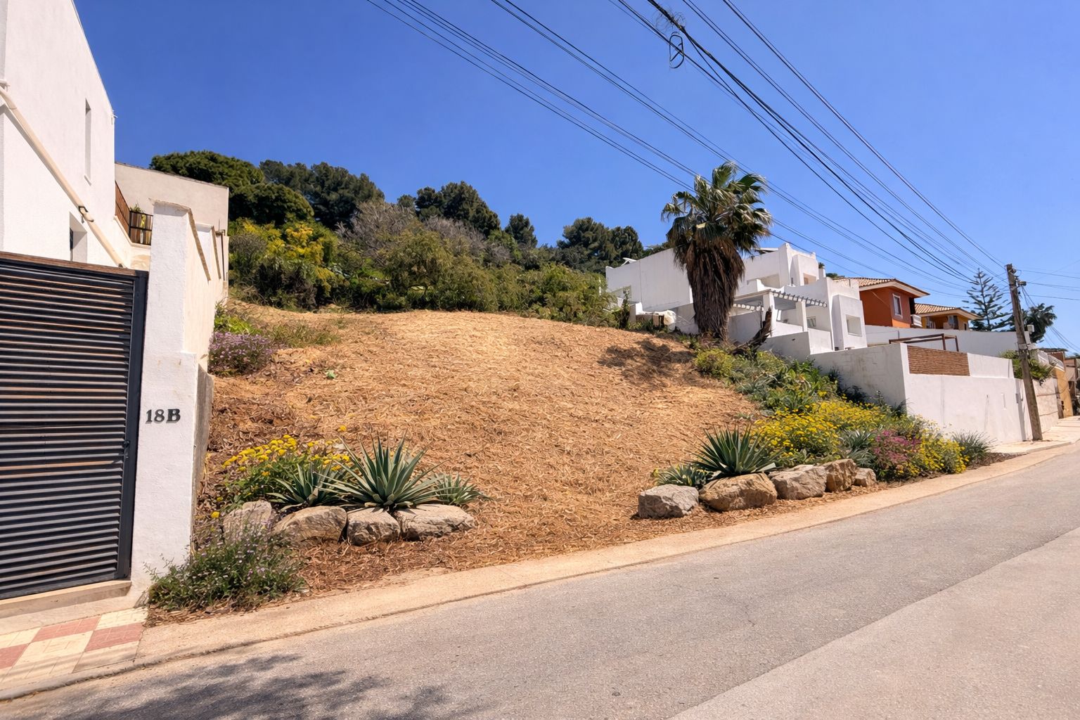 Plot in El Pinar