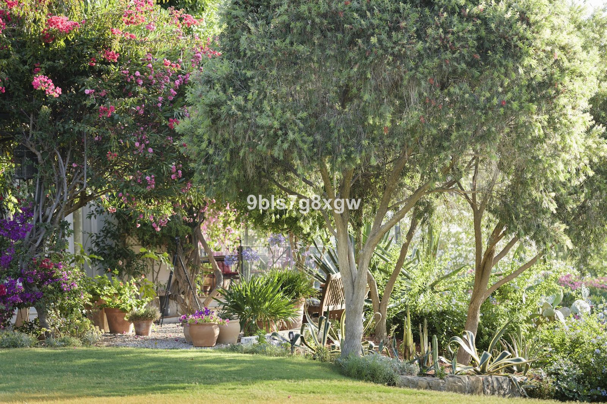 9 Bedroom Country house in Gaucín - Photo 31