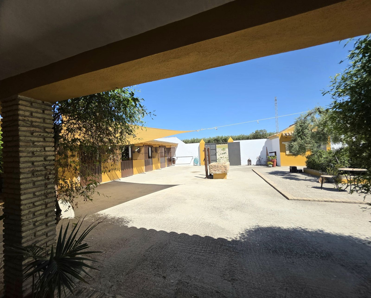 Moradia com 4 quartos com piscina em Sevilla, Espanha – Foto 9