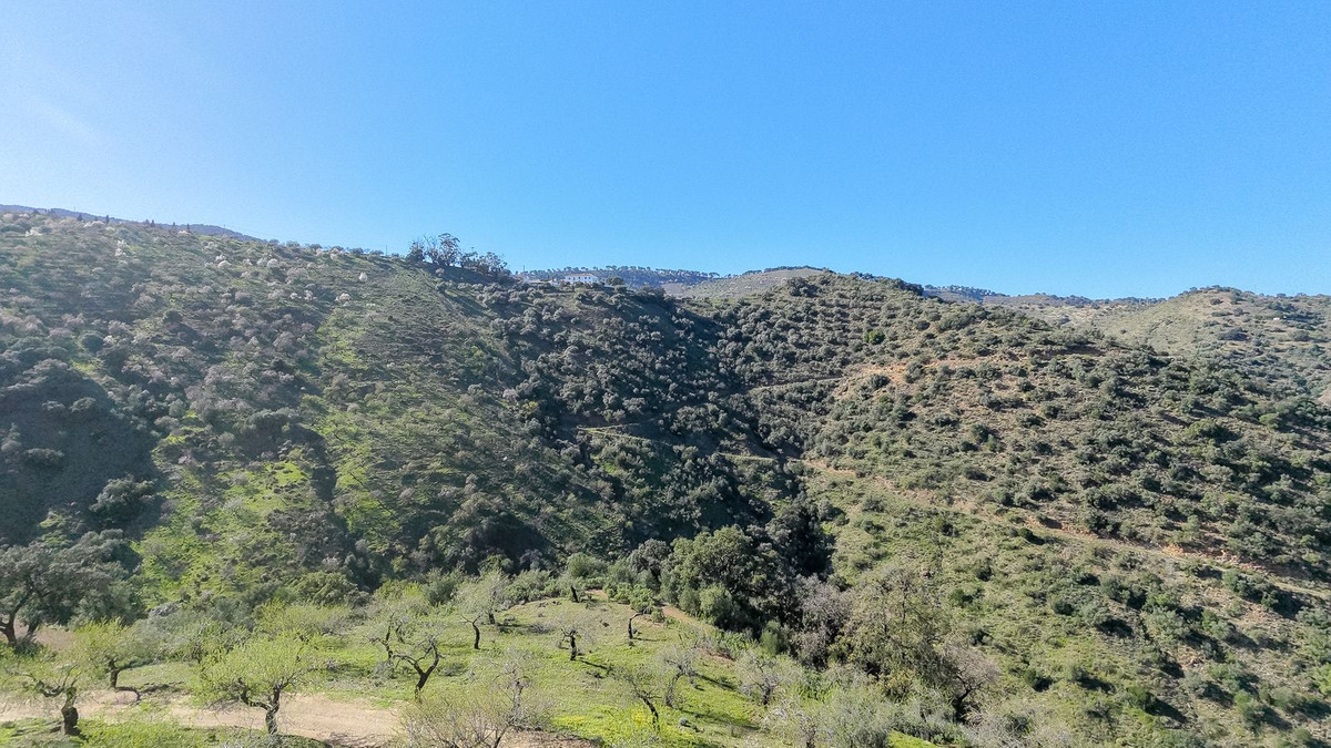 116,511 m² Plot in Málaga - Photo 7