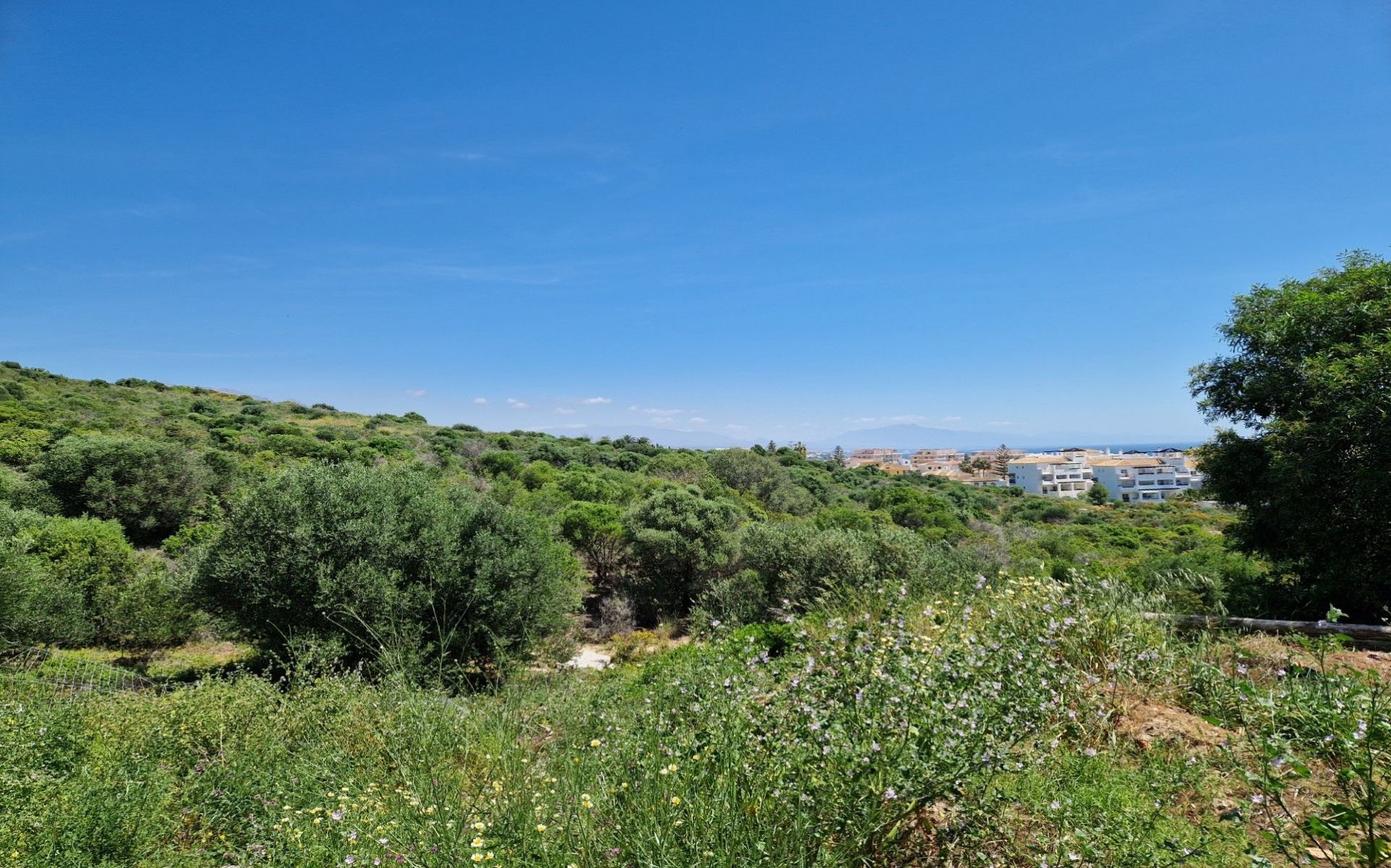 Local commercial vue mer à Malaga, Espagne – Photo 4