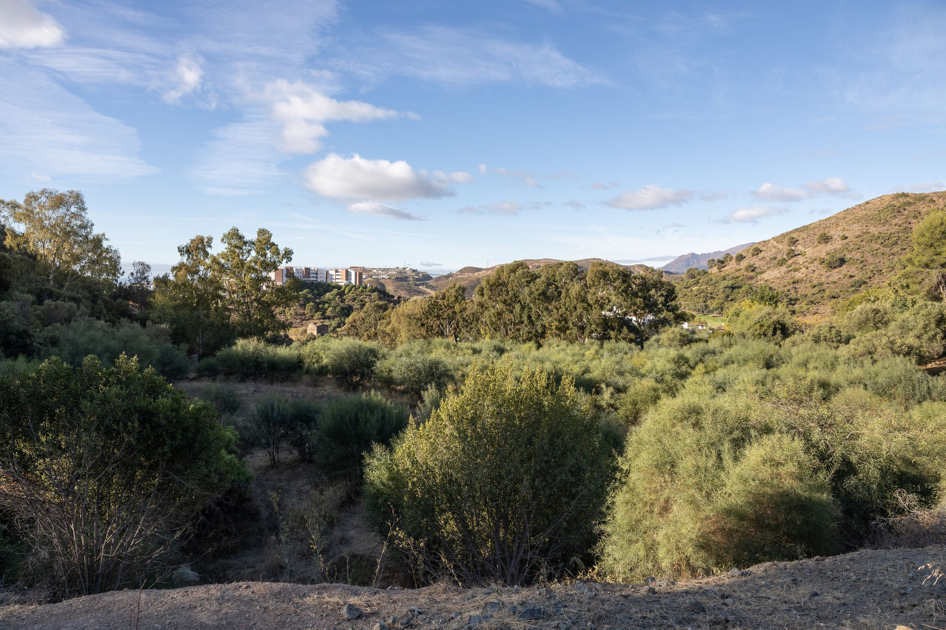 5,185 m² Plot in Benahavís - Photo 16