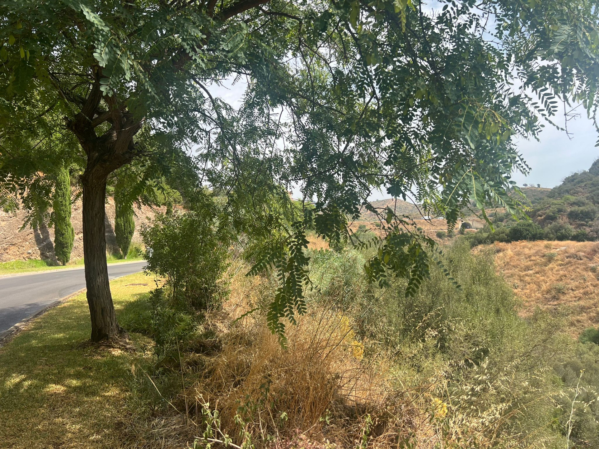 1,480 m² Plot in Marbella - Photo 6