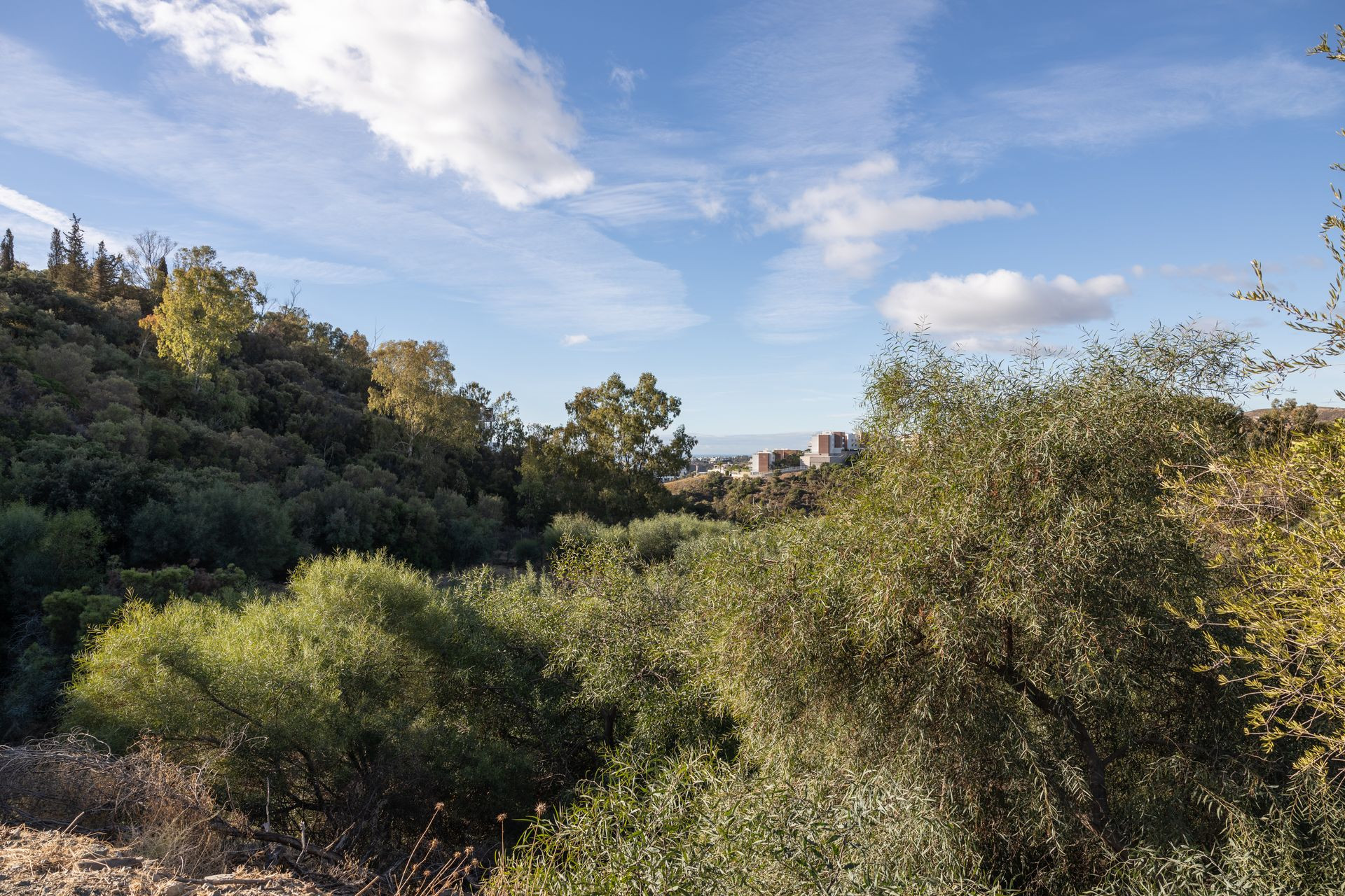 5,185 m² Plot in Benahavís - Photo 15