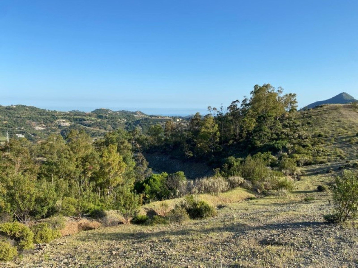 12,563 m² Plot in Benahavís - Photo 19