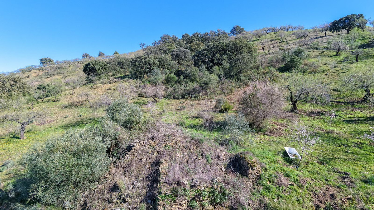 116,511 m² Plot in Málaga - Photo 9