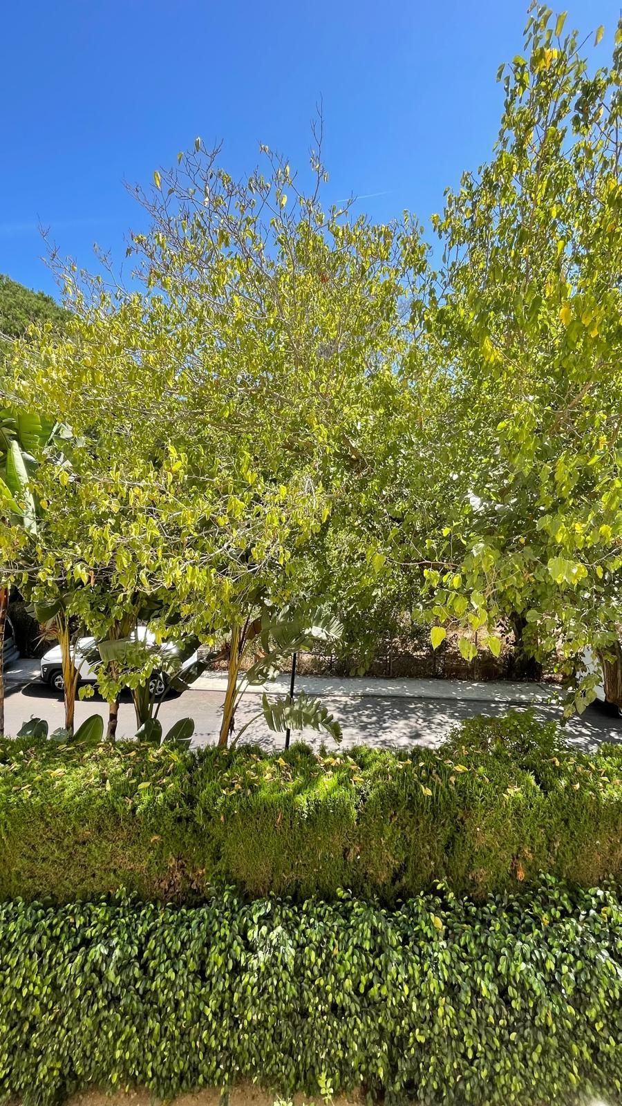 2 Bedroom Apartment in Marbella - Photo 34