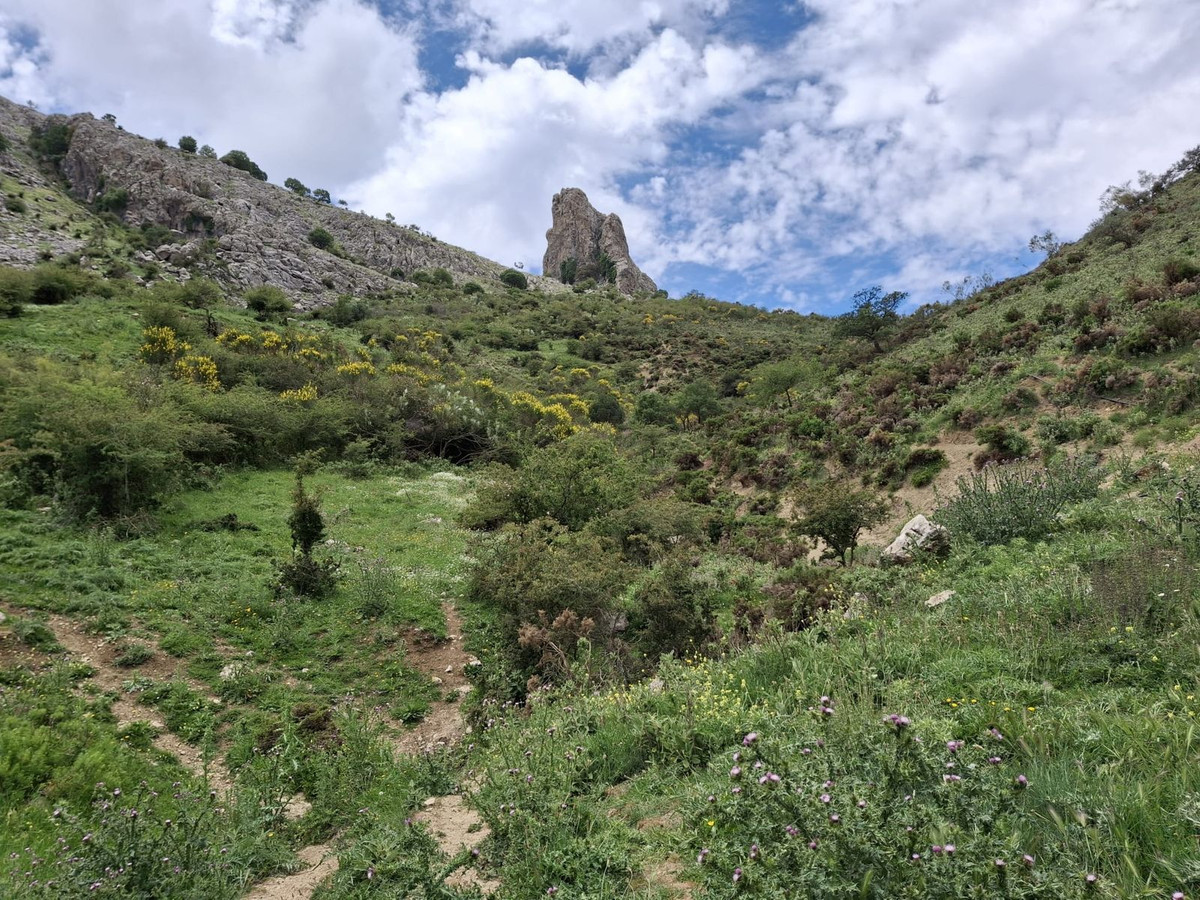 680,000 m² Plot in Alfarnatejo - Photo 17