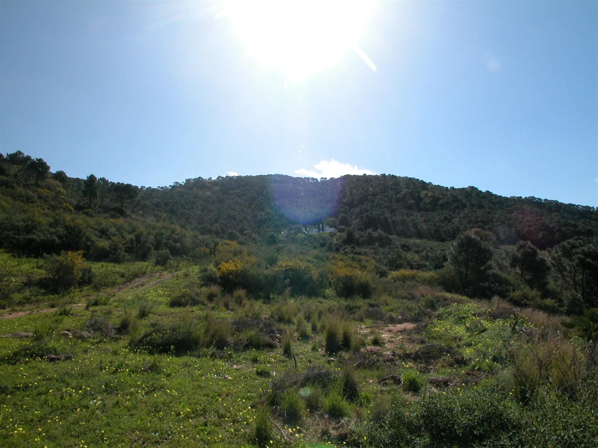 4 Bedroom Country house in Estepona - Foto 7