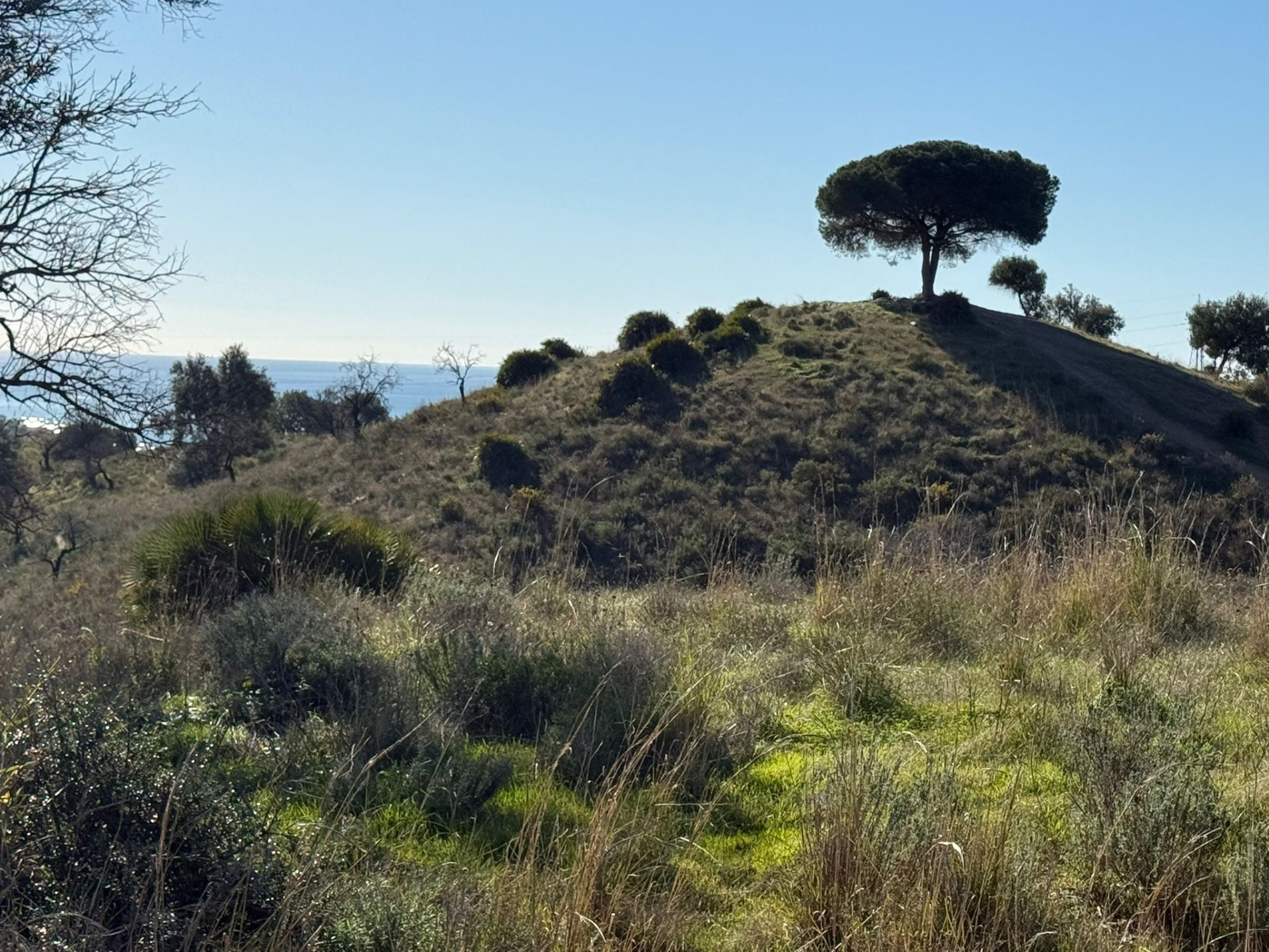 90,882 m² Plot in Mijas - Photo 16