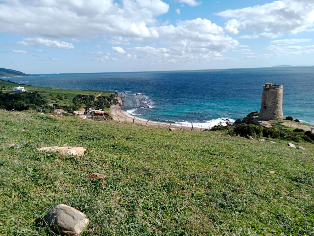 Plot in Tarifa