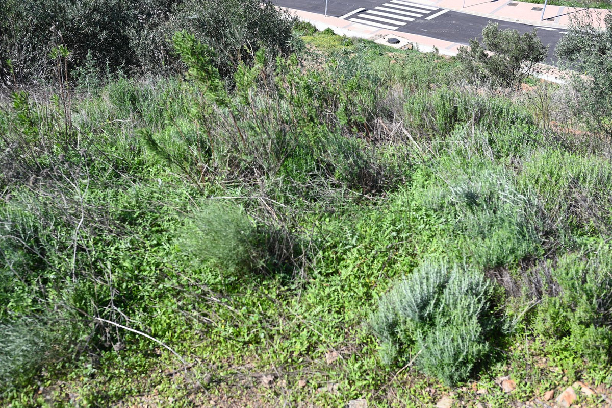 585 m² Plot in Mijas - Photo 4