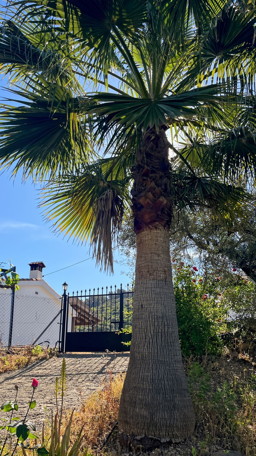 Moradia com 4 quartos com piscina em Málaga, Espanha – Foto 23