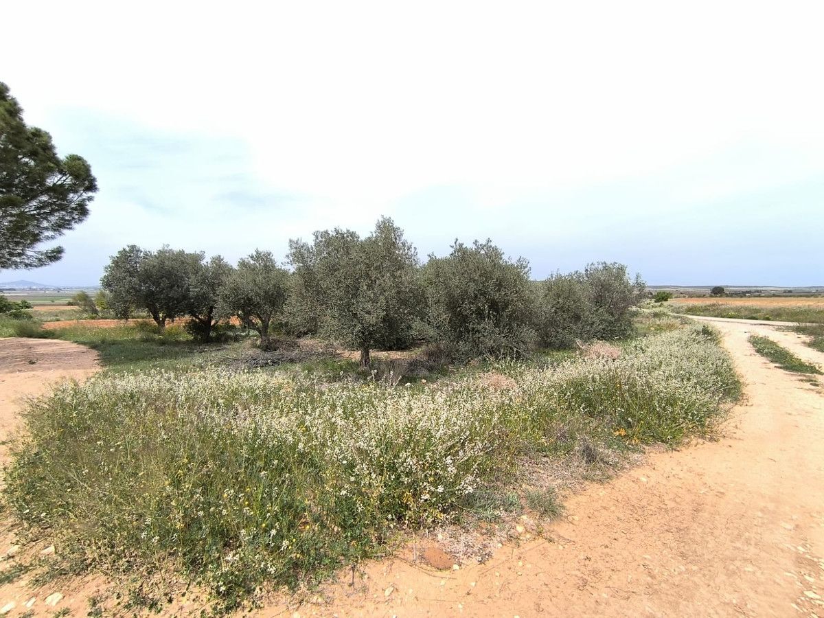 Villa con 3 camere a Murcia, Spagna – Foto 15
