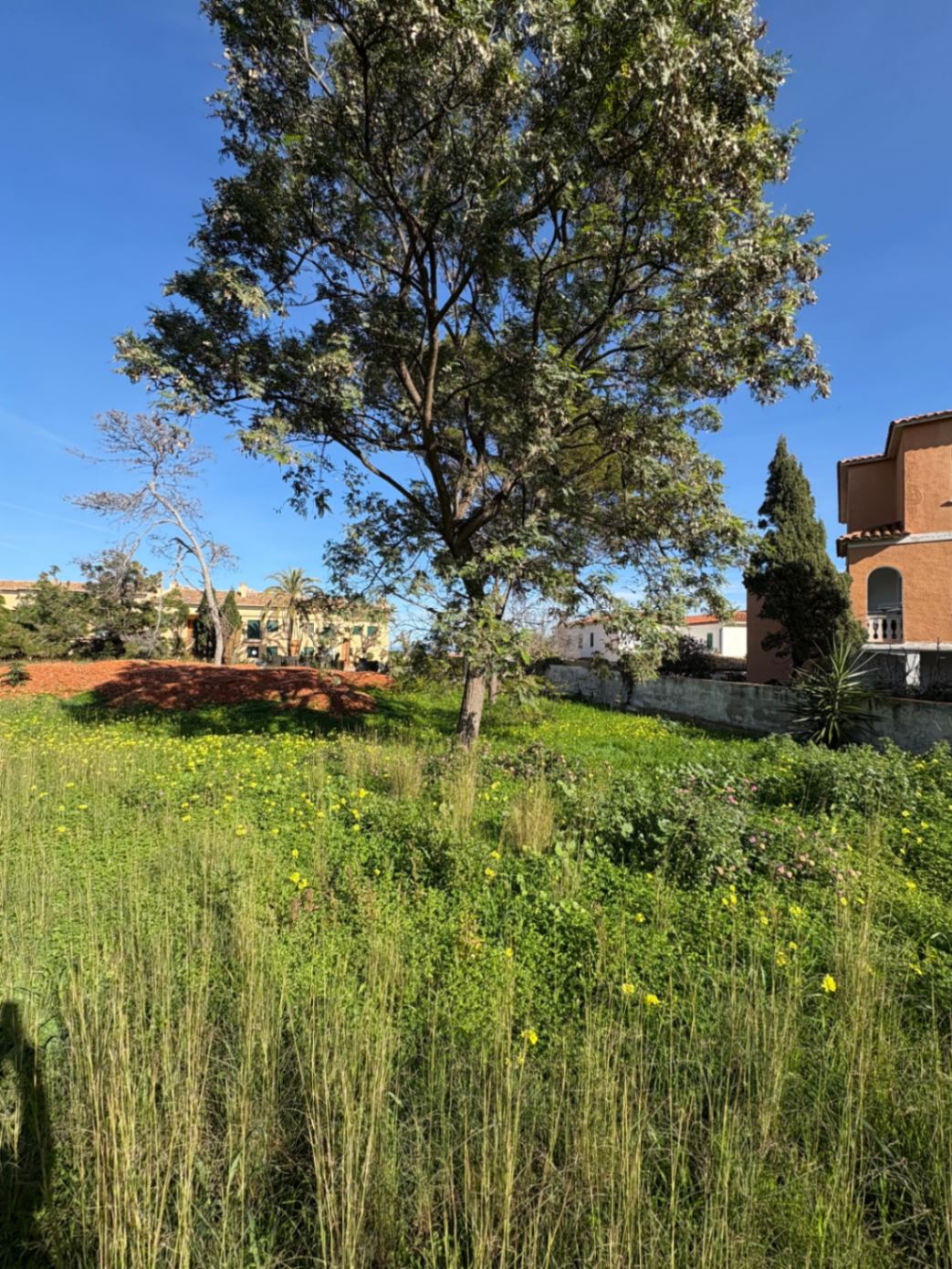 Plot in Denia Town
