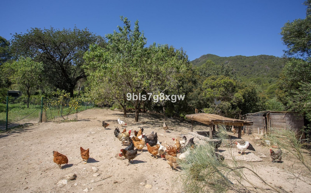 9 Bedroom Country house in Gaucín - Photo 37