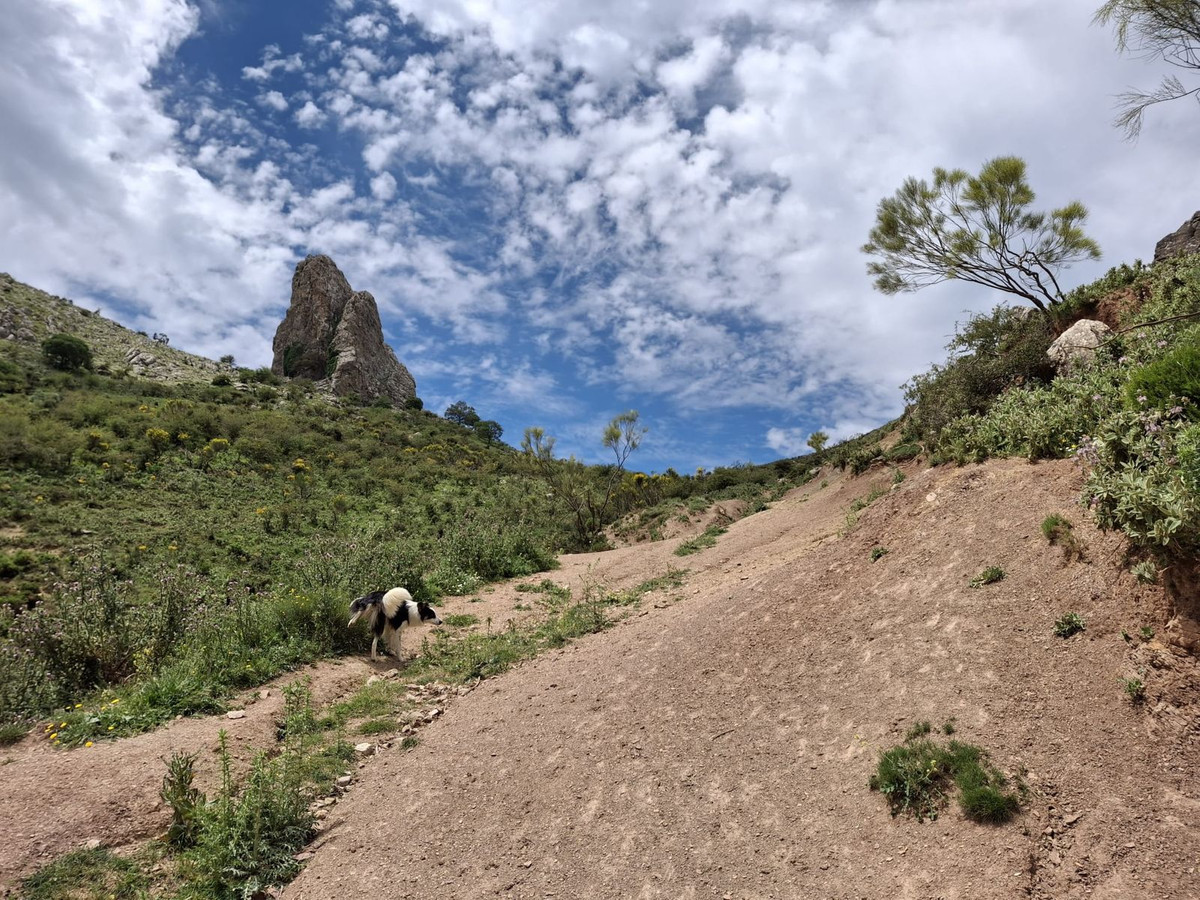 680,000 m² Plot in Alfarnatejo - Photo 19