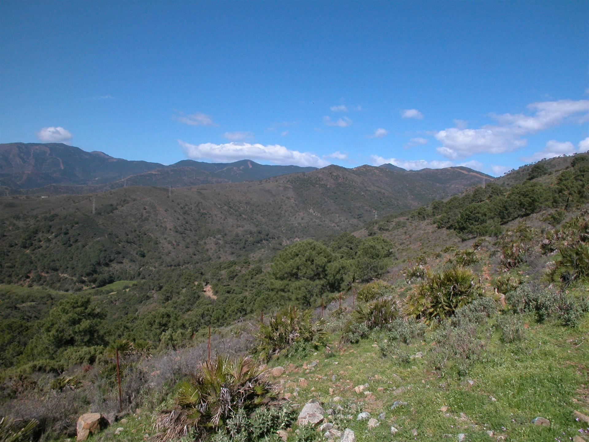 4 Bedroom Country house in Estepona - Foto 6