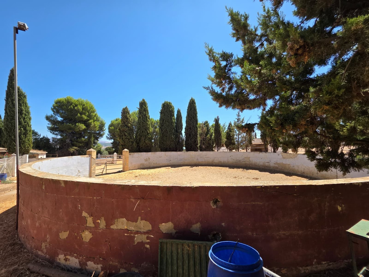 8 Bedroom Country house in Antequera - Photo 65