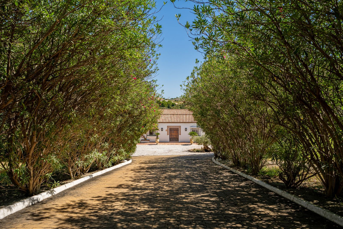 8 Bedroom Country house in Estepona - Фото 3