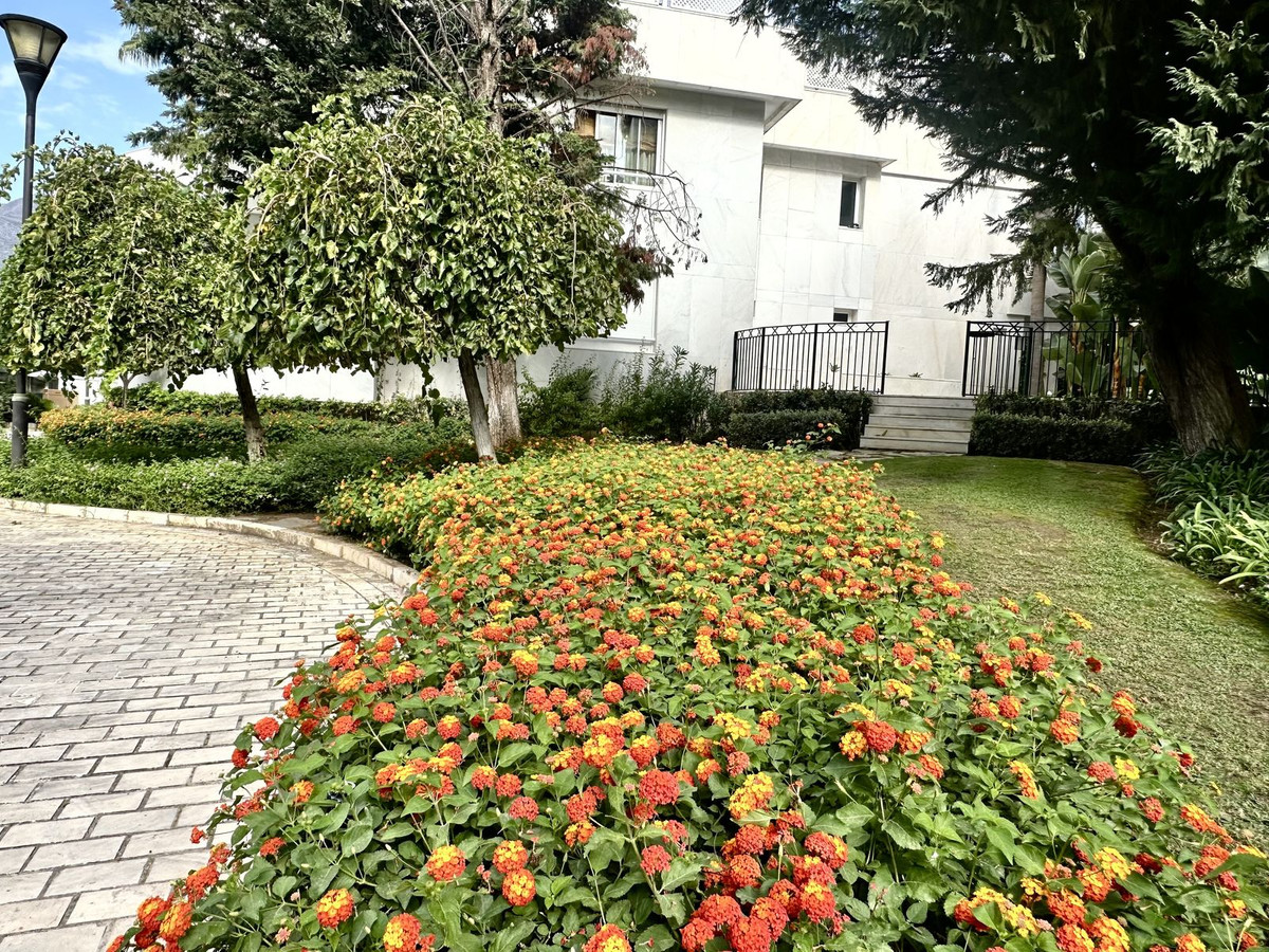 3 Bedroom Apartment in Marbella - Foto 66