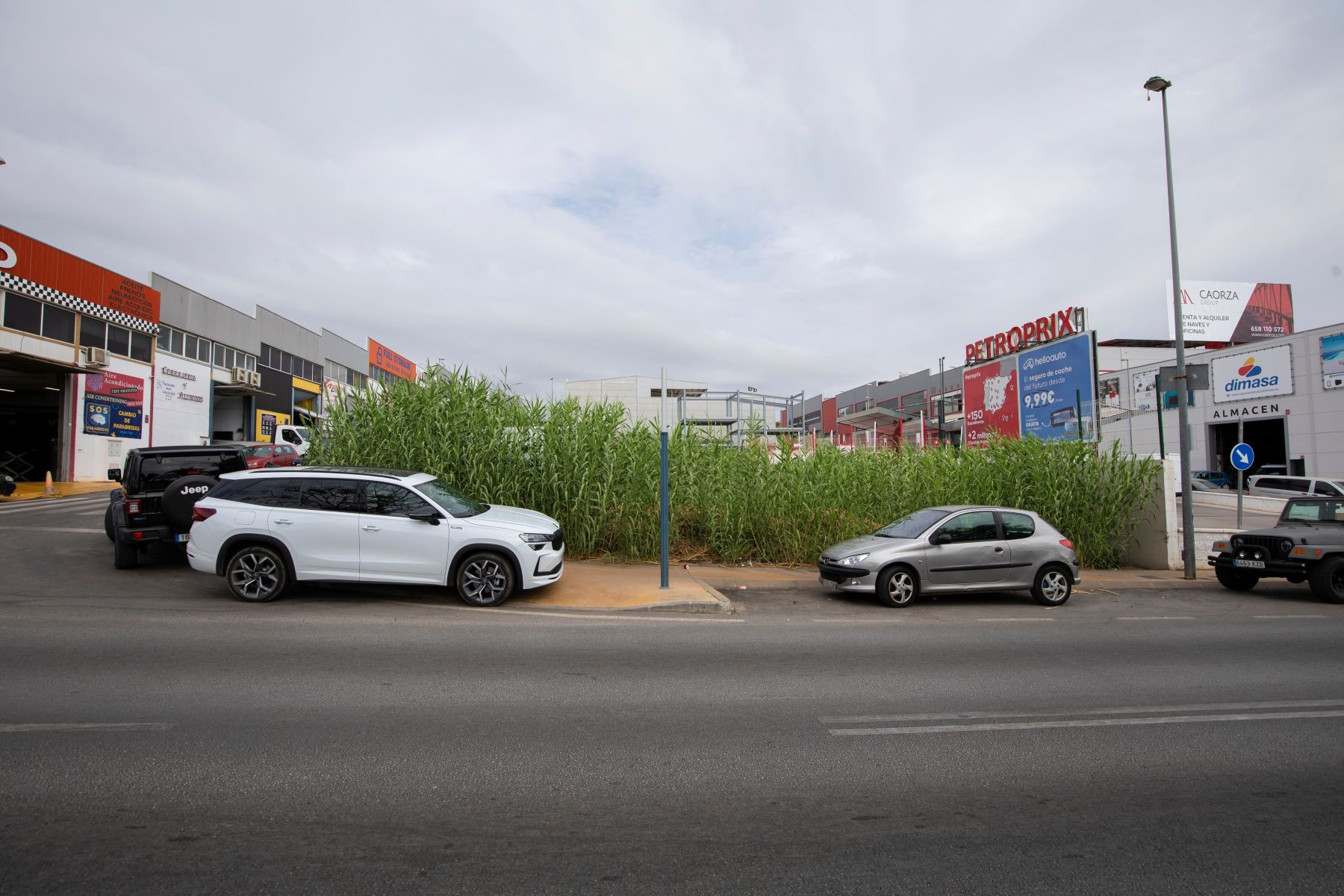 789 m² Plot in San Pedro de Alcántara - Photo 12