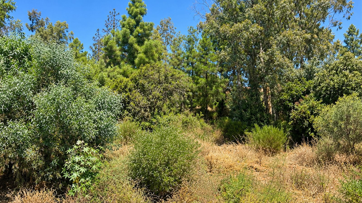 836 m² Plot in Estepona - Photo 4