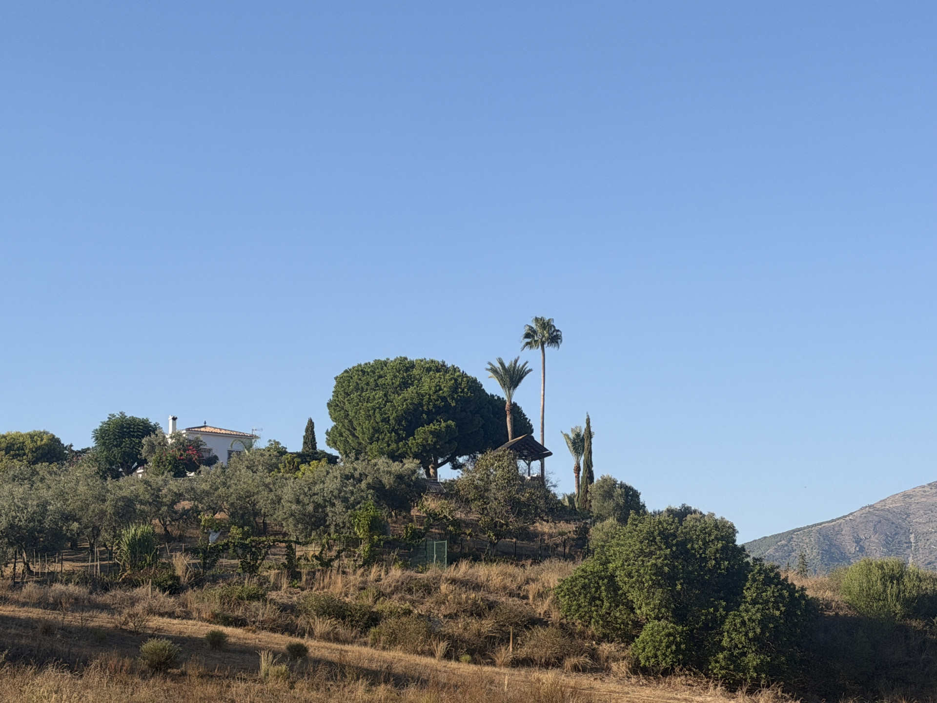 3 Bedroom Villa in Mijas - Photo 14