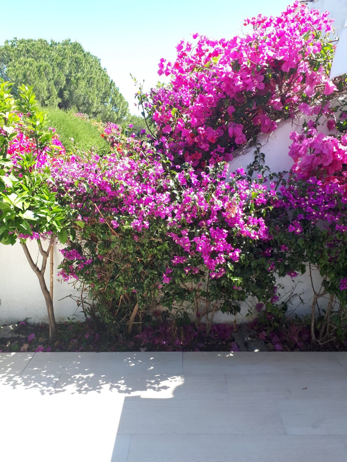 2 Bedroom Townhouse in Marbella - Photo 24