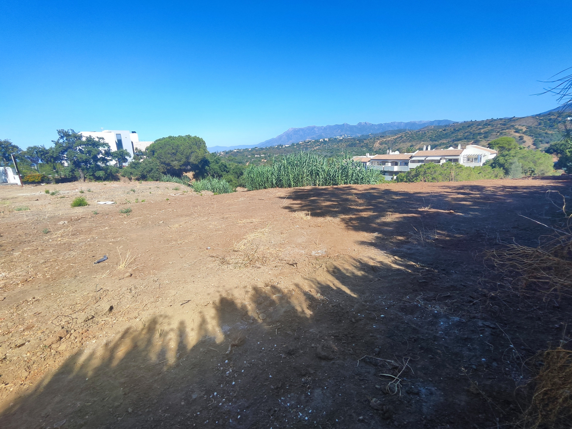 Plot in Elviria