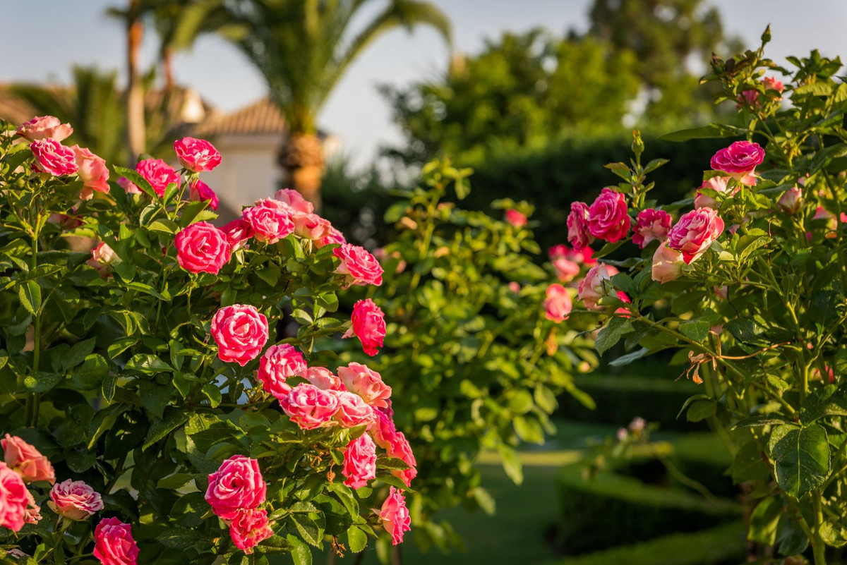 7 Bedroom Villa in Marbella - Photo 6