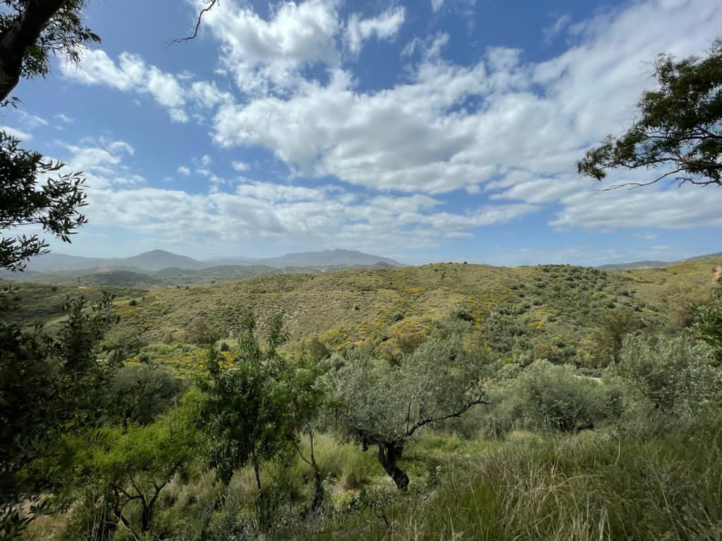 11,590 m² Plot in Mijas - Photo 9