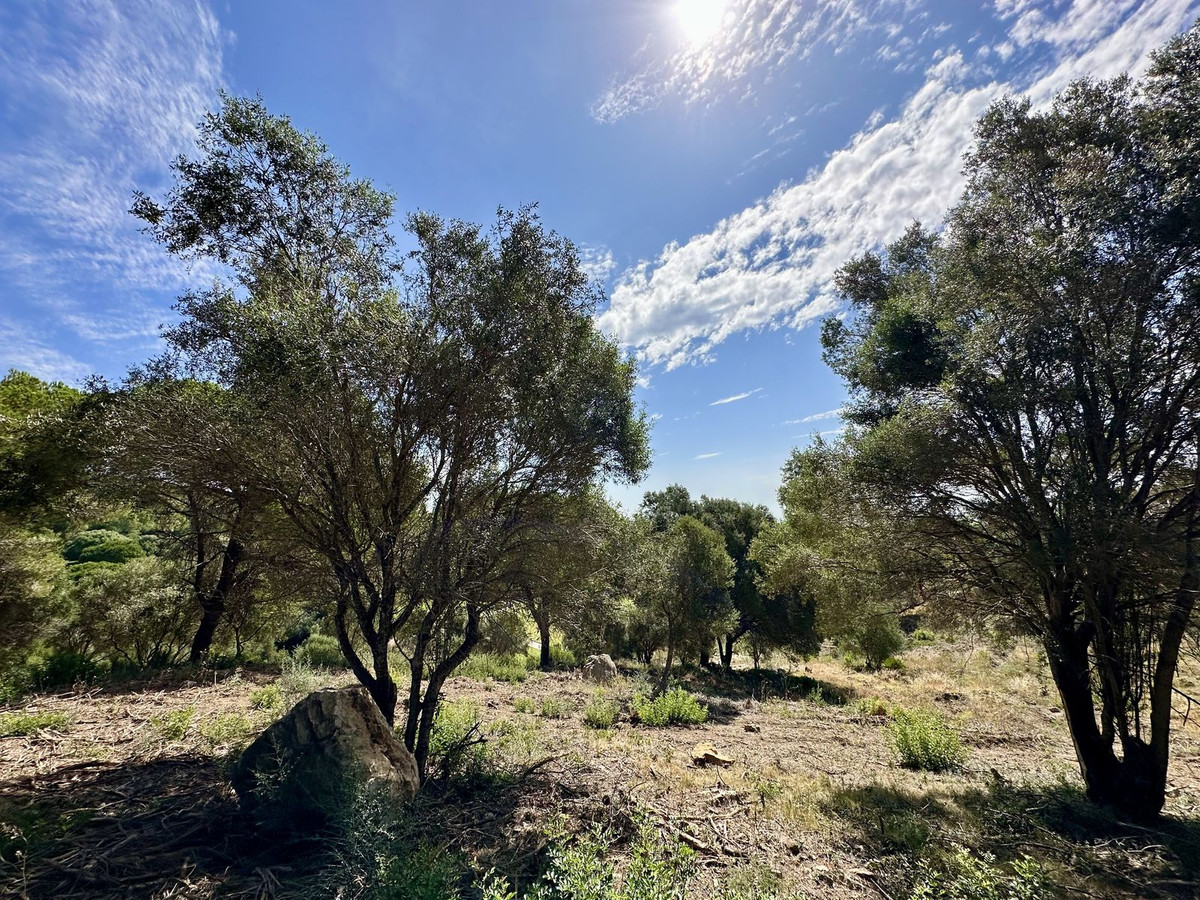 3,455 m² Plot in Sotogrande - Photo 4
