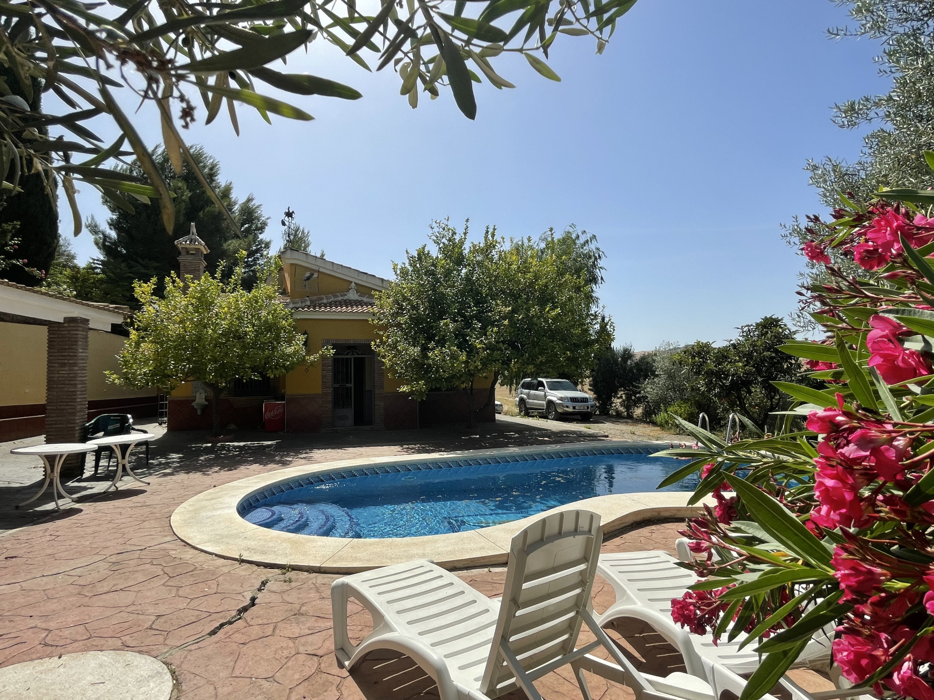 14 Bedroom Country house in Villanueva de la Concepción - Photo 7