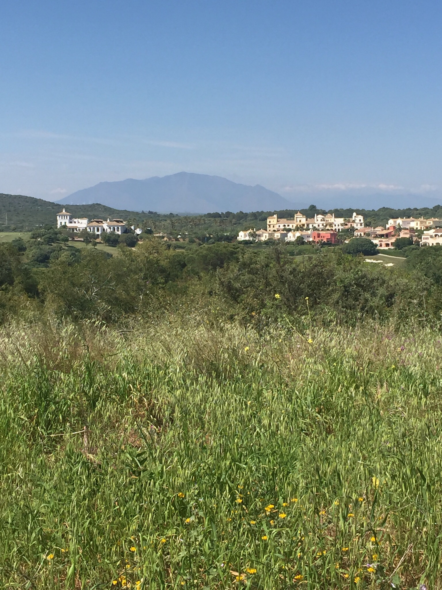 2,688 m² Plot in Sotogrande - Photo 6