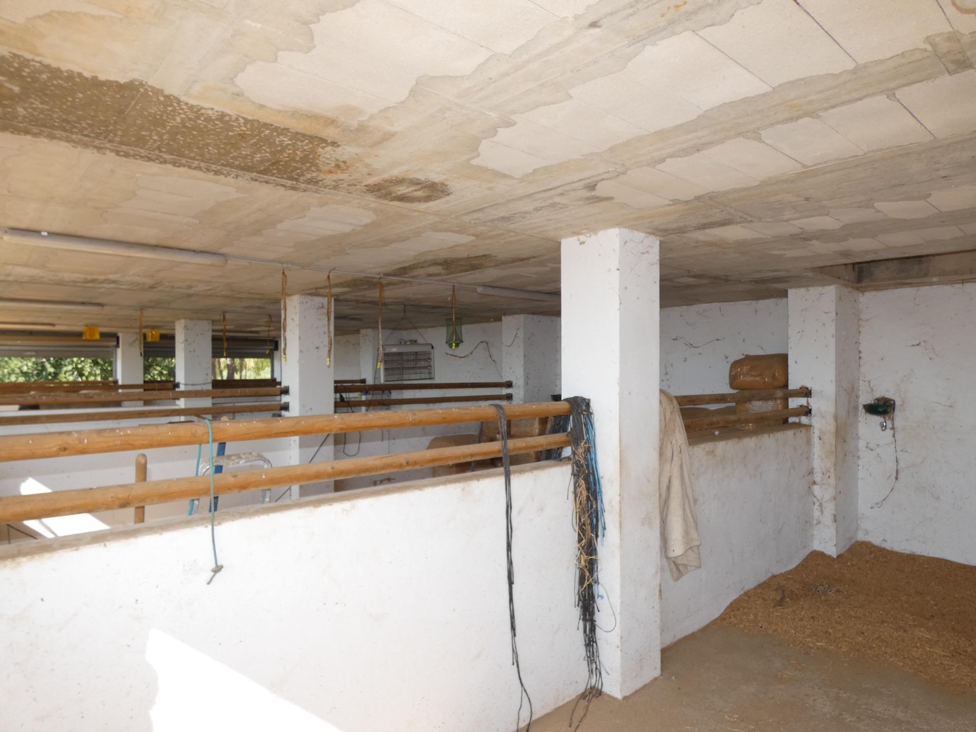 Moradia com 4 quartos com piscina em Múrcia, Espanha – Foto 22