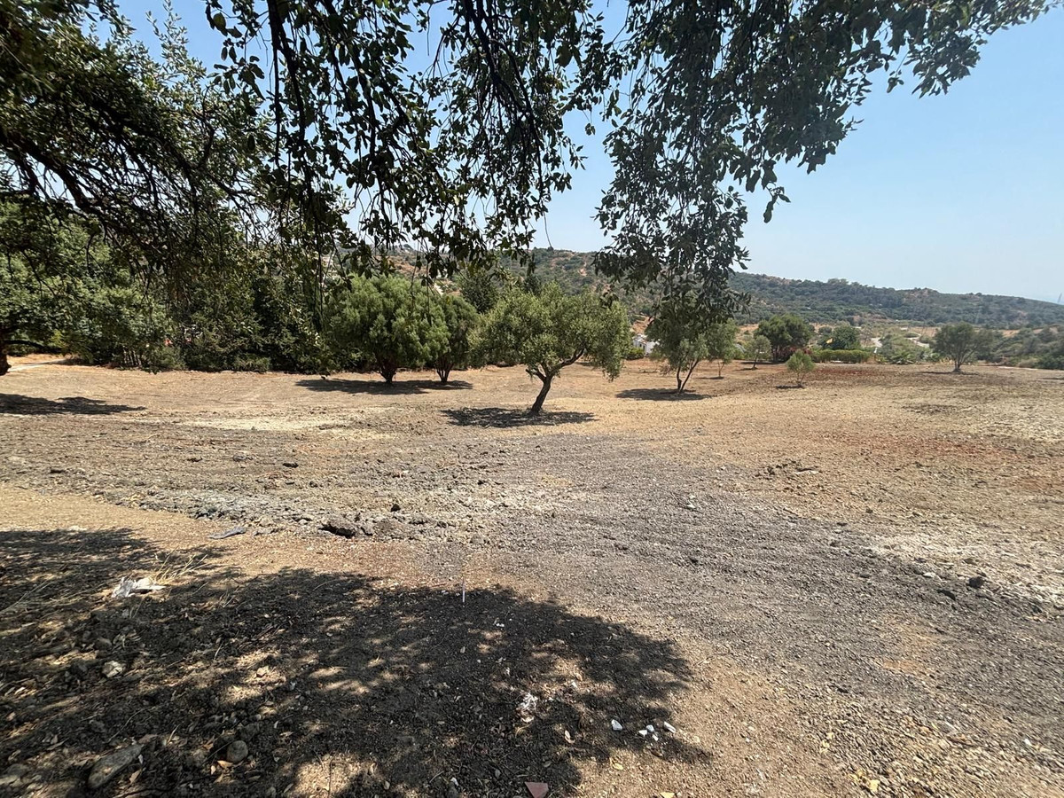 8,900 m² Plot in Estepona - Photo 5