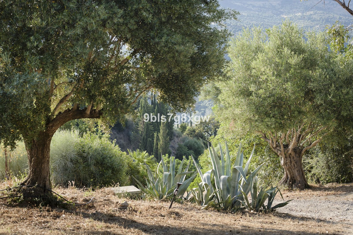 9 Bedroom Country house in Gaucín - Photo 34