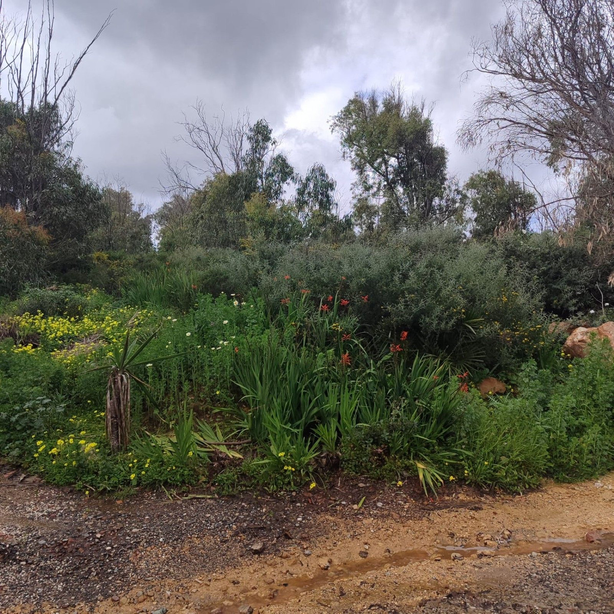 4,000 m² Plot in Manilva - Photo 12
