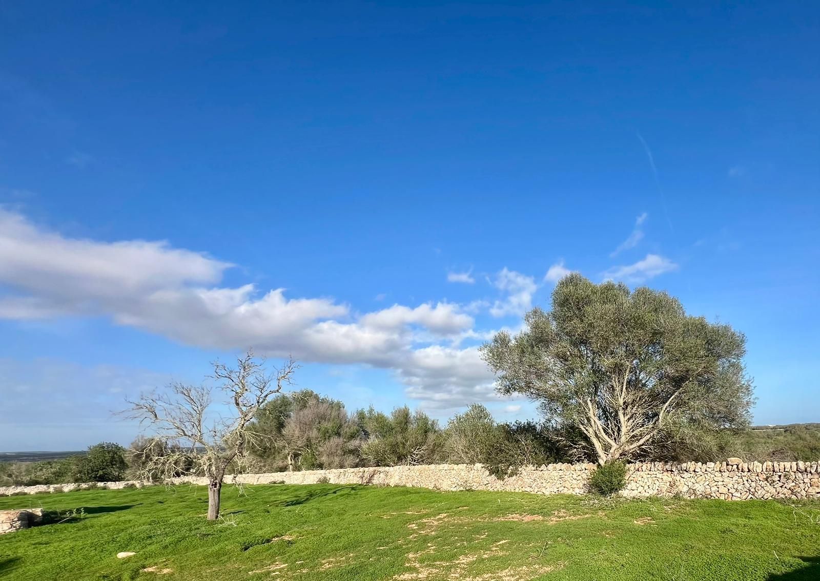 Plot in Santanyi