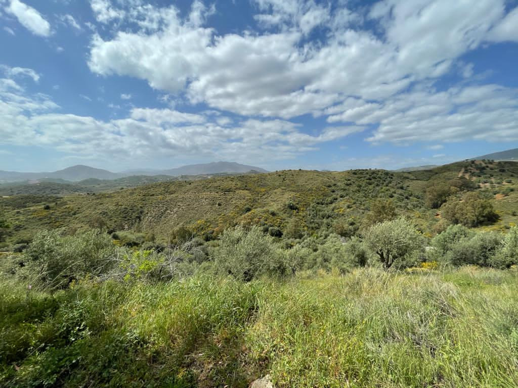 11,590 m² Plot in Mijas - Photo 8