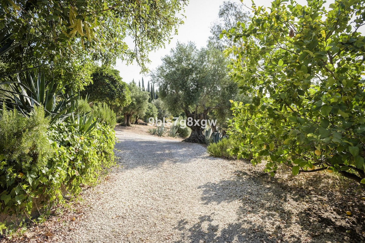 9 Bedroom Country house in Gaucín - Photo 33