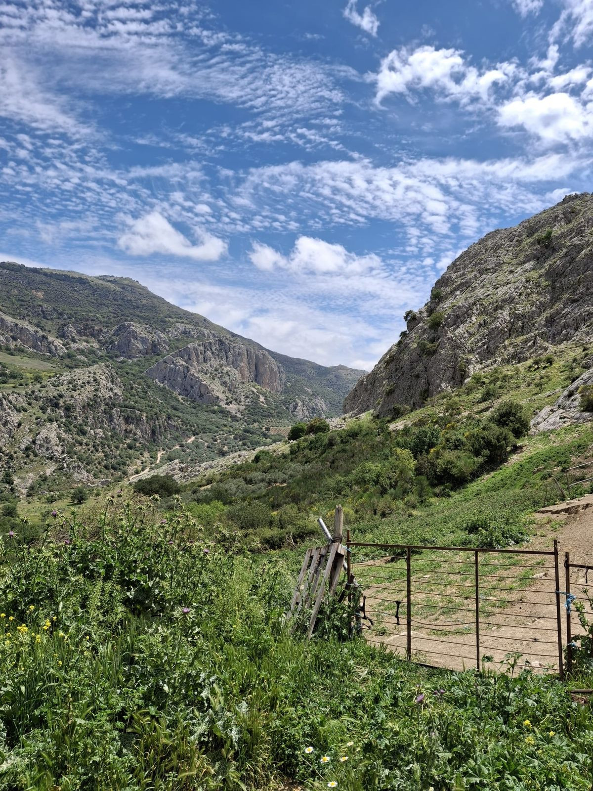 680,000 m² Plot in Alfarnatejo - Photo 14