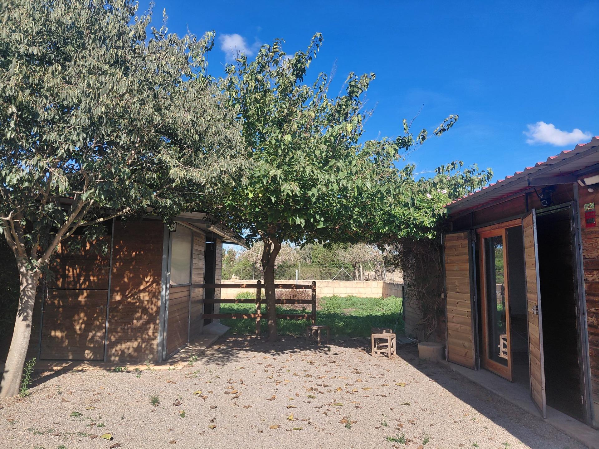 Villa con 1 camera a Baleari, Spagna – Foto 1