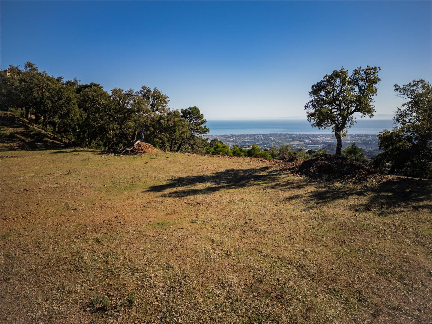 4,100 m² Plot in Benahavís - Photo 6
