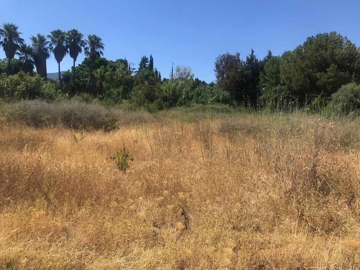 27,265 m² Plot in Estepona - Photo 3