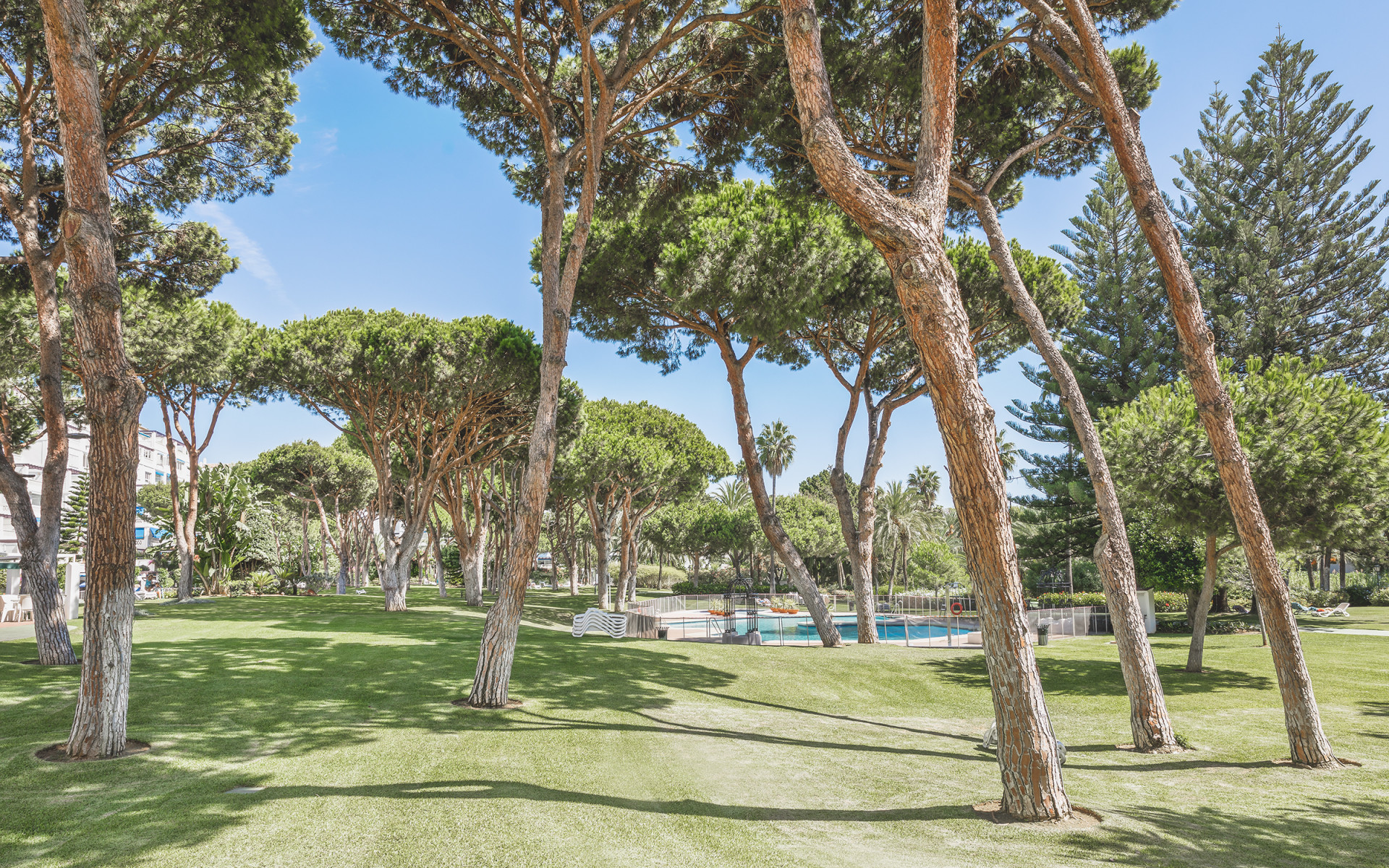 3 Bedroom Apartment in Marbella - Photo 20