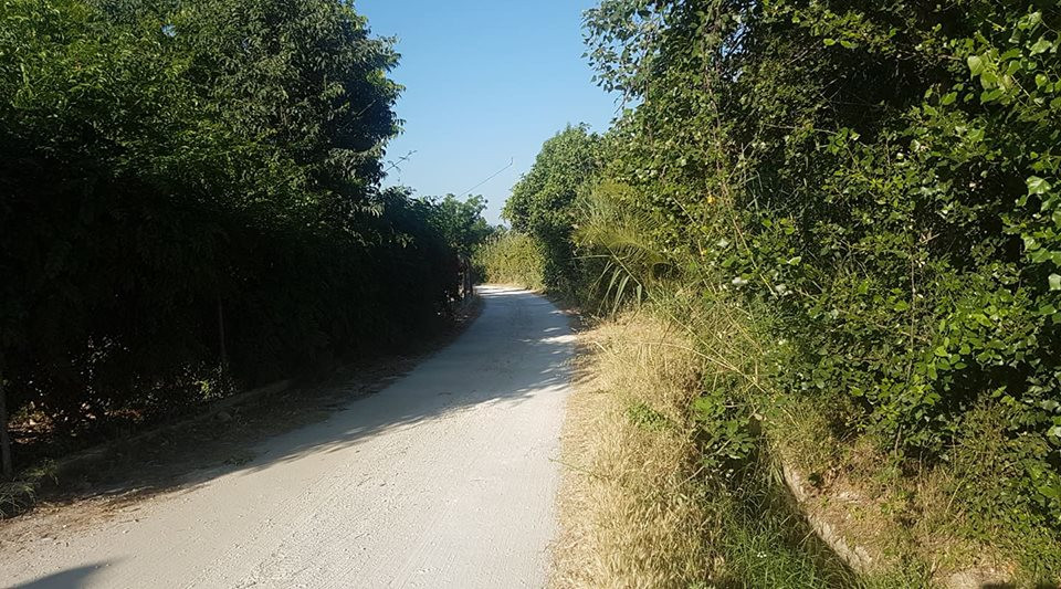 2,900 m² Plot in Coín - Photo 3