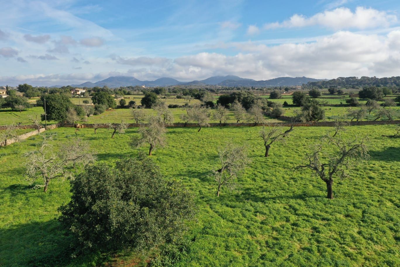 Moradia com 4 quartos com piscina em Baleares, Espanha – Foto 4