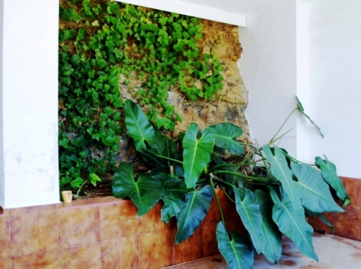 7 Bedroom Country house in Mijas - Foto 34
